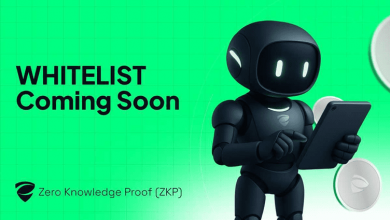 this-new-blockchain-makes-truth-an-asset-–-learn-what-is-zero-knowledge-proof-(zkp)
